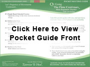 Click here to View the Qi Gong The
            Flow Continues Pocket Routine Guide