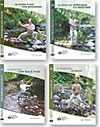 QiGong 4-Pack #1- Flow, Stress, Upper Back, Low Back