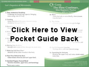 Click here to View the Qi Gong The
            Flow Continues Pocket Routine Guide