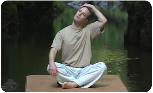  /></p><p>The DVD contains three different types of neck stretches that, when performed, release obstructed energy from the neck and allows it to flow to all parts of the body. The brain receives some of this stored energy, which may account for why many who practice Qi Gong report increased mental acuity. All parts of the body below the neck receive energy as well, providing improved dexterity and coordination.</p><p>One of the magical features of these neck stretches is that you can perform them anytime, anywhere. Whether performed while you are seated at your computer or on an airplane, a two-minute Qi Gong break can dramatically change the course of your day, turning stress to relaxation in a matter of minutes.</p><h2><img decoding=