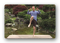 A screen shot from Qi Gong for More Energy