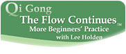 Qi Gong, The Flow Continues: More Beginners Practice